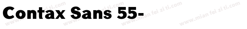 Contax Sans 55字体转换